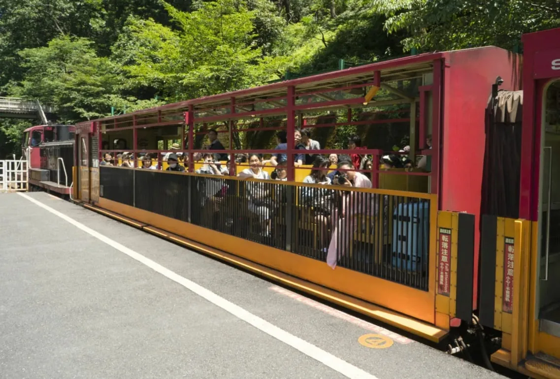 緑の中の駅に停車する観光トロッコ列車