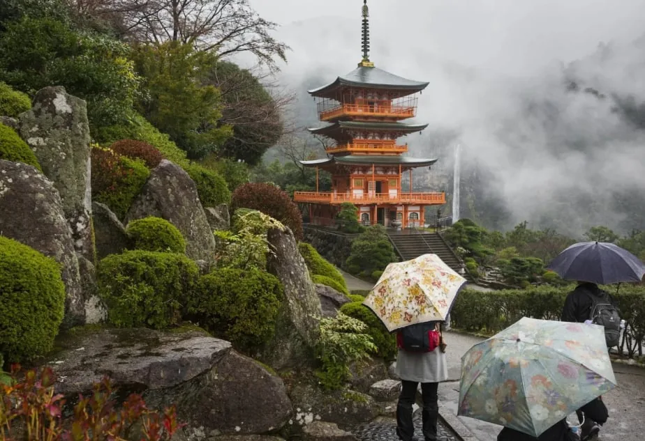 雨の日に傘をさして三重塔の前を歩く旅行者